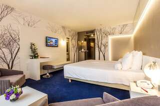 Отель Grand Hotel Plovdiv Пловдив Двухместный номер Делюкс с 1 кроватью и бесплатной парковкой-2